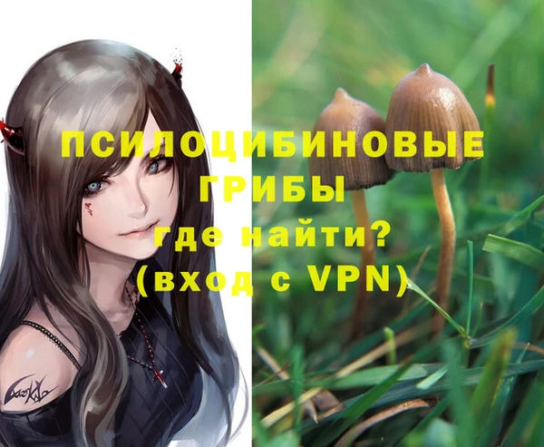 a pvp Армянск