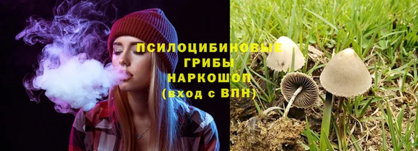 тгк Арсеньев