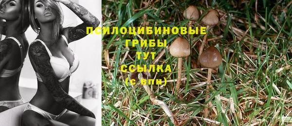 тгк Арсеньев